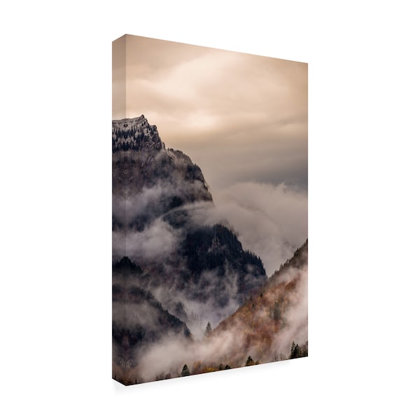 Dan Ballard 'Cliff Fog' Canvas Art,12x19